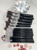 15 PCS MASTER BRUSH SET